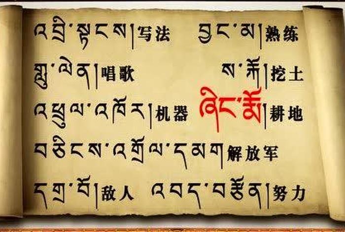 学习藏文字母，藏文字母教学视频