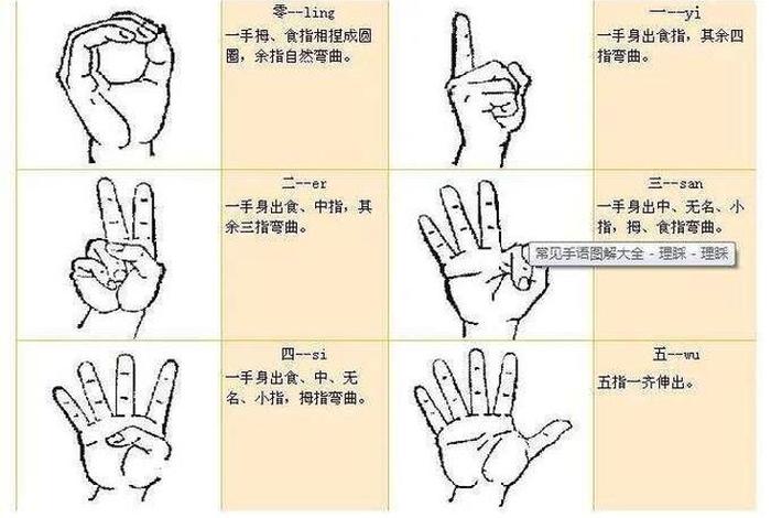 学习手语入门视频教程（手语学堂）