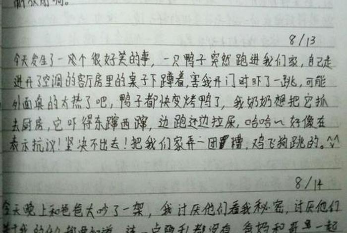 每日记事本 每日记事本怎么写