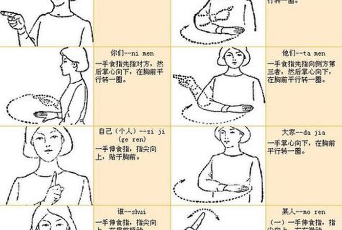 学习手语视频、手语 学