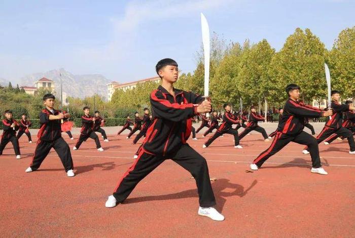 学习武术 - 学武术有前途吗