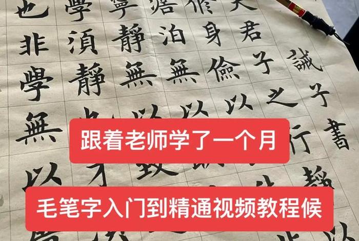 毛笔学习视频 - 毛笔教学视频