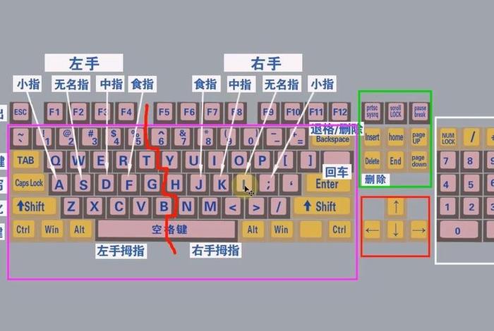 学打字最快的方法（学打字最快的方法视频）