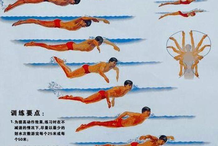 学游泳的技术 - 学游泳的几个基本步骤