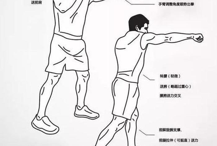 怎么自学拳击；自己学拳击