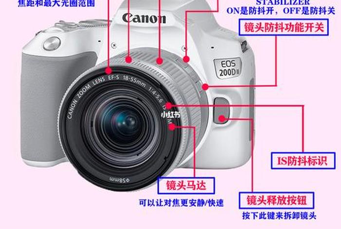怎么样学习单反相机 想学单反相机基本知识