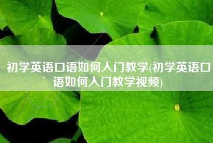 入门 英语；入门英语教学视频