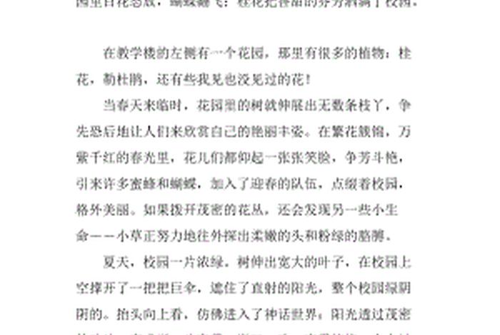 感悟学校风土人情开头作文 感受校园风光