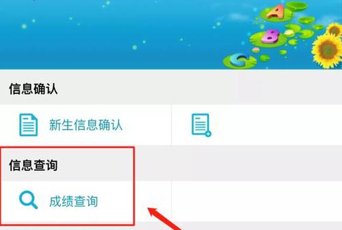 自学网官方网站；自学网官方网站查成绩