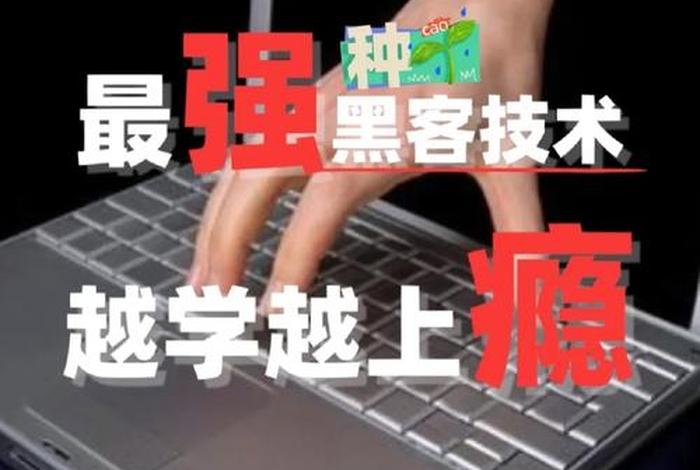 学习黑客技术怎么学；想学黑客技术怎么开始
