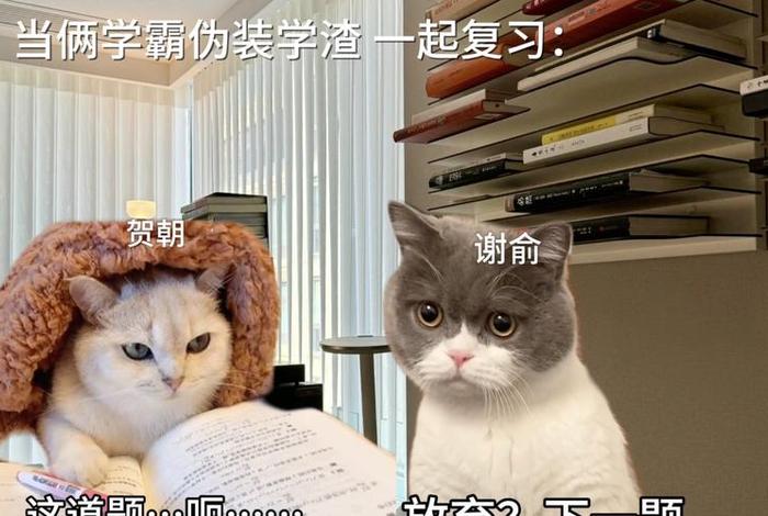男朋友不爱学习怎么办、伪装学渣