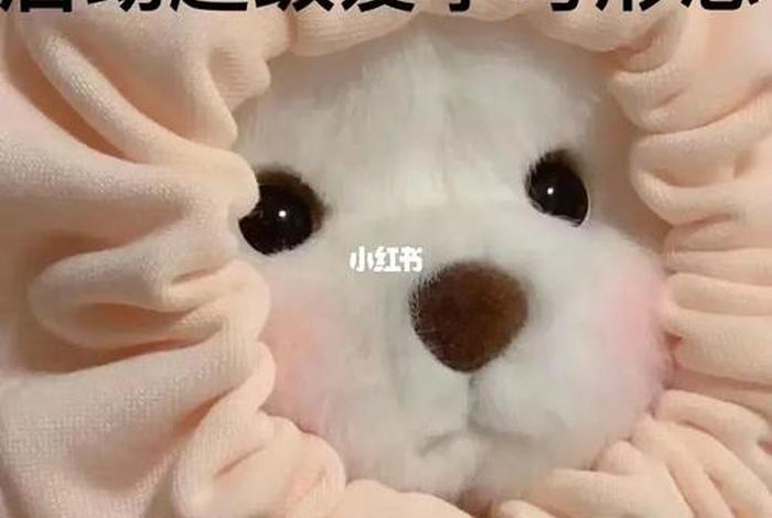 学习表情训练的好处，表情训练的目的是什么