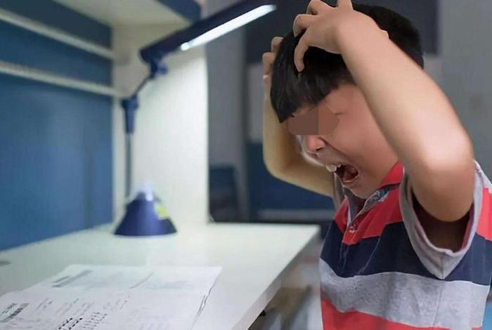 5岁男孩学习高数；五岁儿子学数学很笨怎么办
