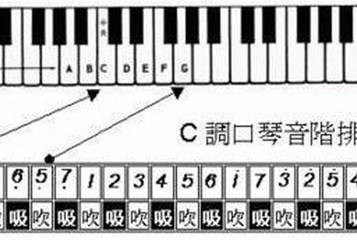 学习口琴基础教程 - 初学口琴教学视频