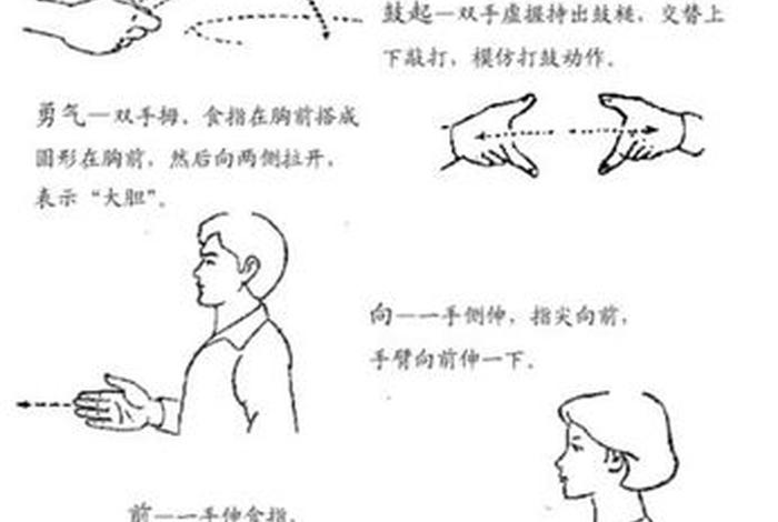 手语学习教程视频、手语入门教程