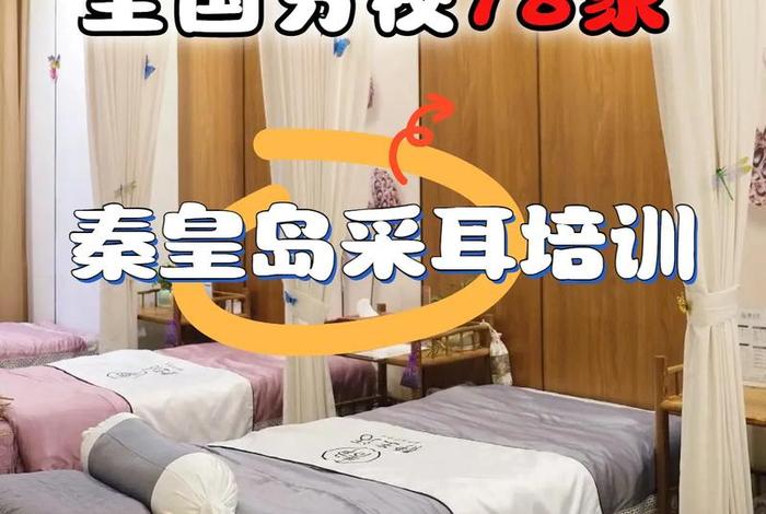 学可视采耳多少钱，可视采耳培训哪里好
