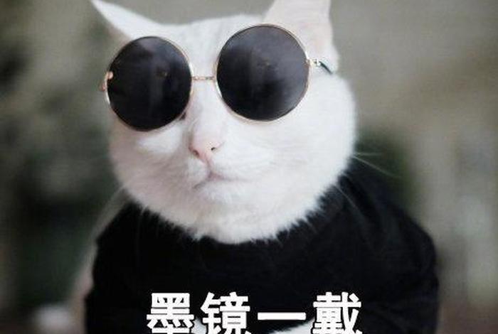 不爱