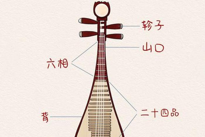 学习琵琶入门零基础 - 琵琶入门自学教程