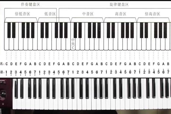 钢琴学习入门，电子钢琴教学入门零基础视频