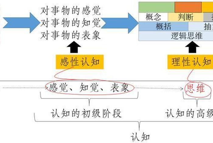 认知的概念 - 审美认知的概念