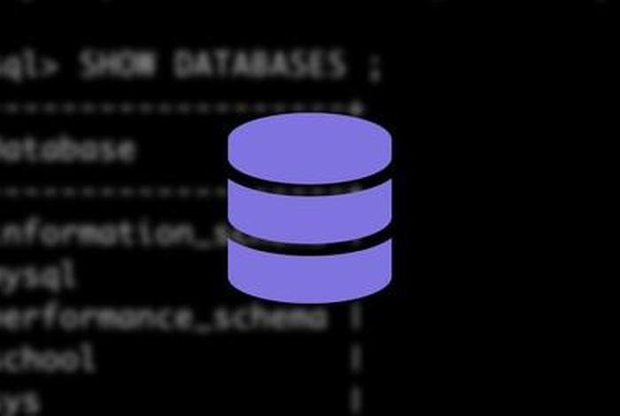 sql学习版（sql教学视频）