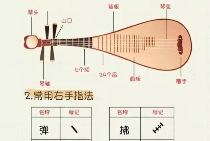 琵琶自学能学会吗，琵琶自学一年能到什么程度