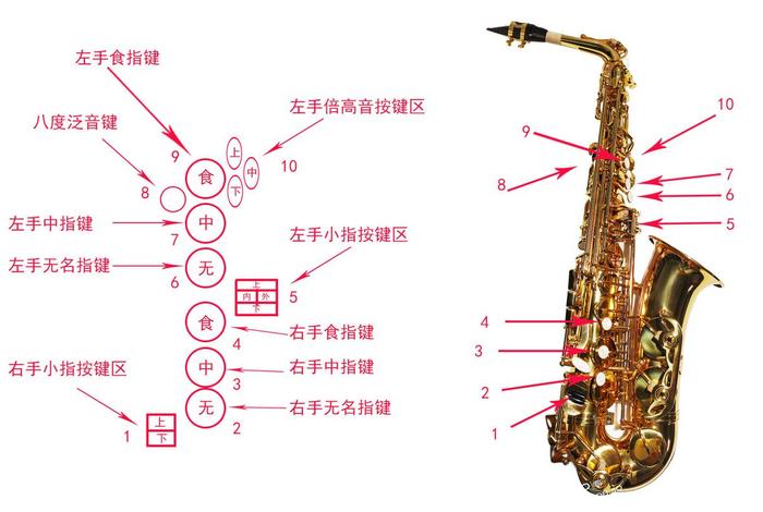 萨克斯指法表 - 萨克斯指法表电子版