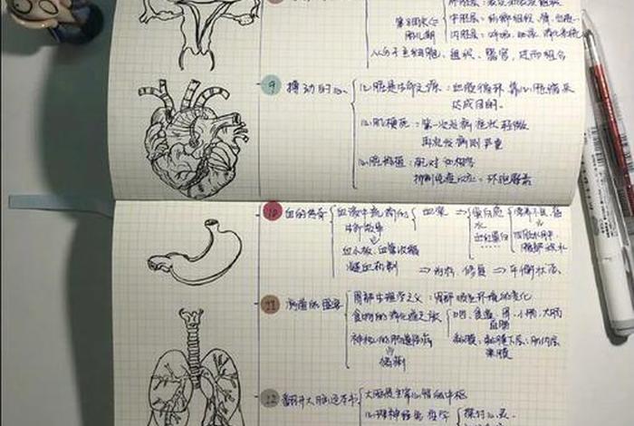 医学读书笔记、医学读书笔记摘抄及感悟