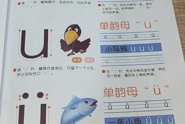 学习单韵母u怎么讲解、单韵母u发音要领