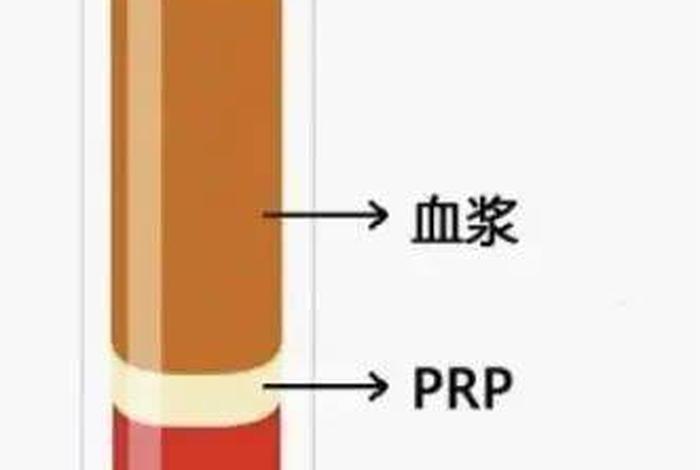 富血小板；富血小板血浆