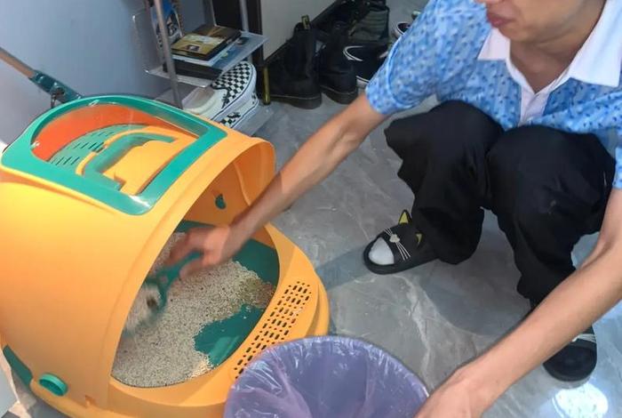 滑板学校 滑板获奖证书