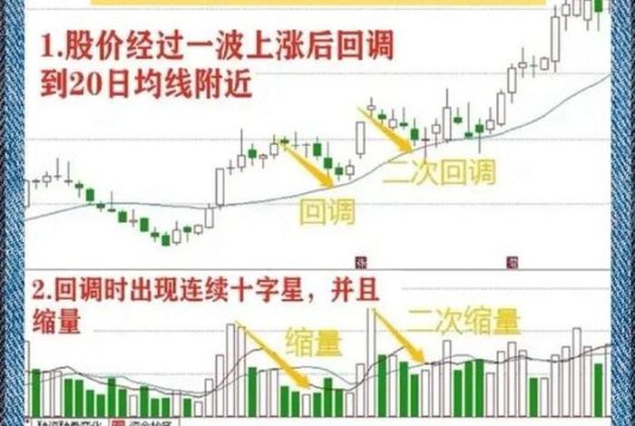 怎么学会炒股票新手入门（怎么样学会炒股票新手）