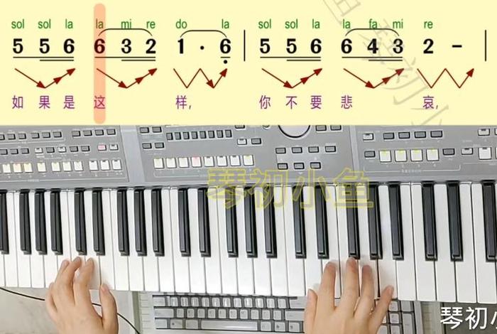 学电子琴50课免费；学电子琴教学视频