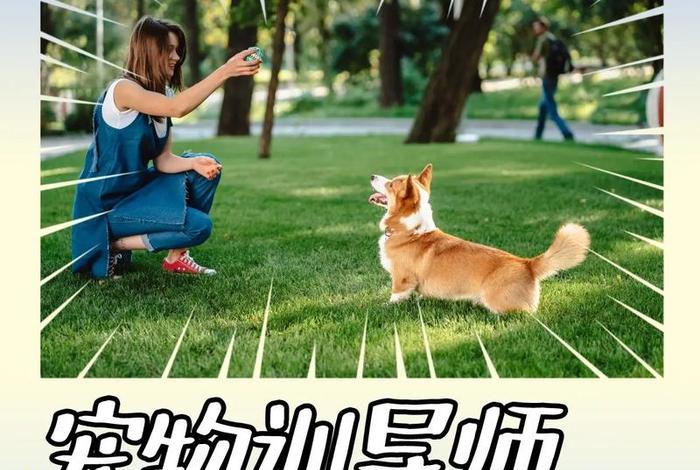 宠物训导师怎么考证；宠物训导师多少钱一月