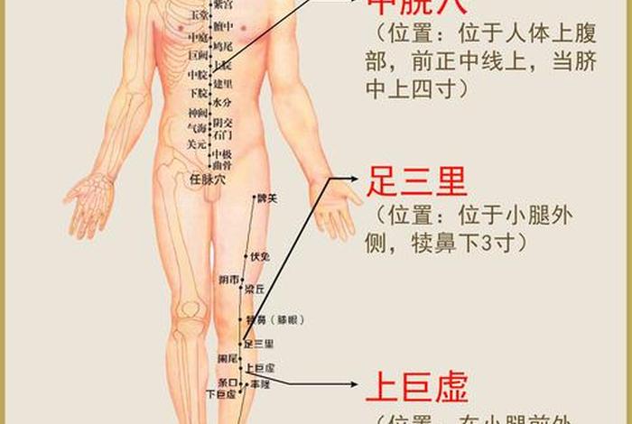 艾灸在哪里学最正宗 艾灸在哪里学最正宗最好