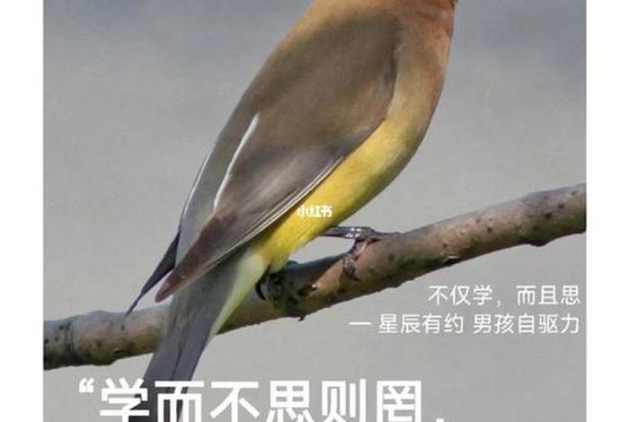 不学