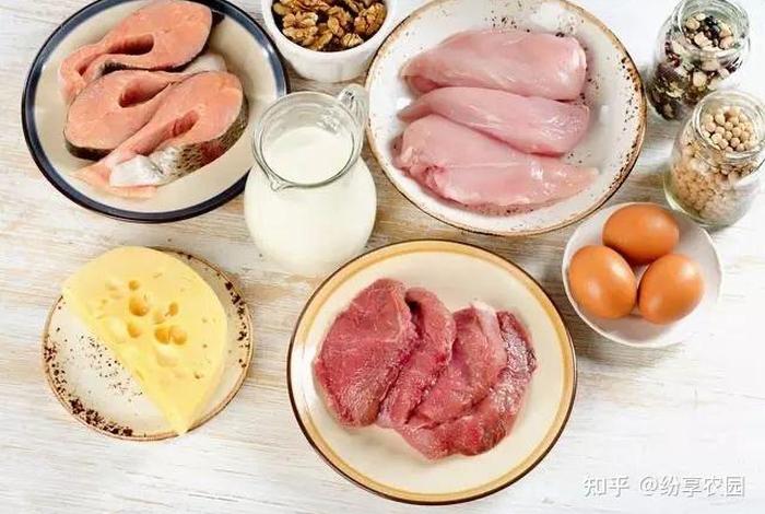 高中学生太累怎么补营养（高中生累怎么缓解）
