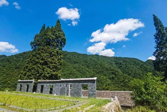 紫源学校 紫源景观