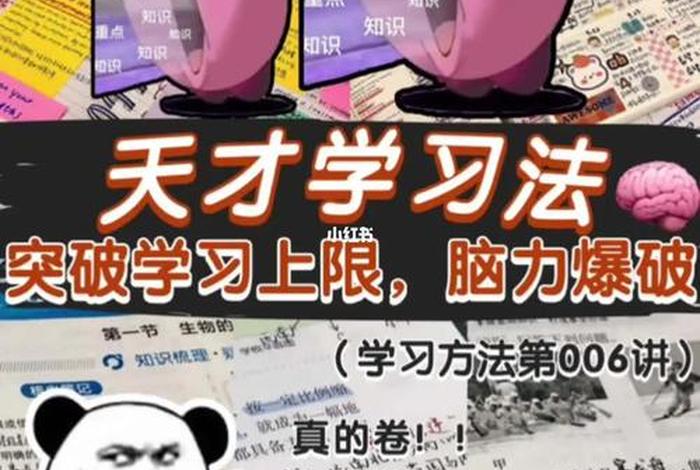 天才学习秘诀；天才学数学是怎么样的