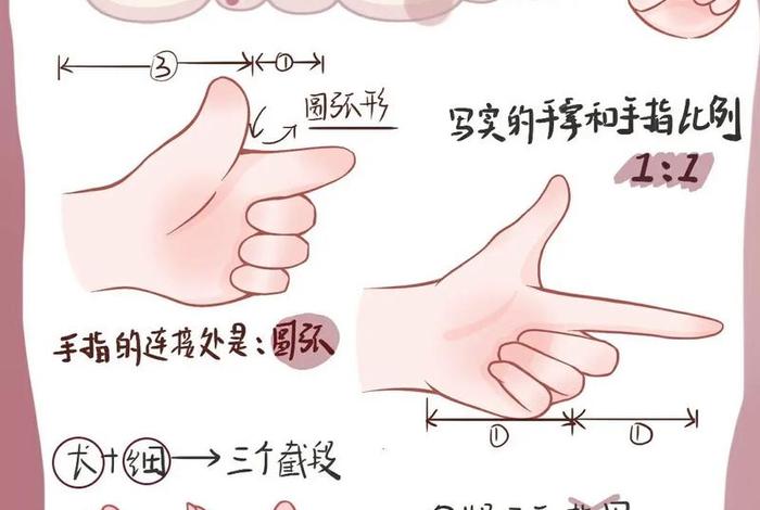 学绘画（学绘画入门教程）