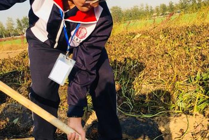 学农业出来干什么工作（学农业出来干什么工作比较好）