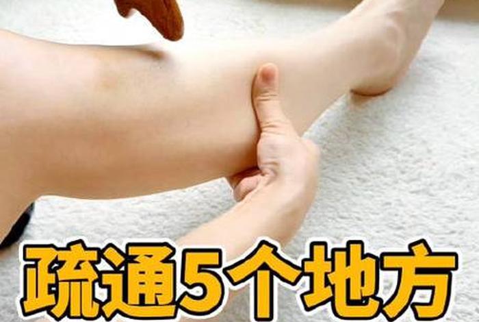 中医艾学堂学习 中医艾灸教程专家讲解视频