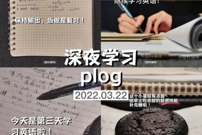 深夜学习资料懂得都懂