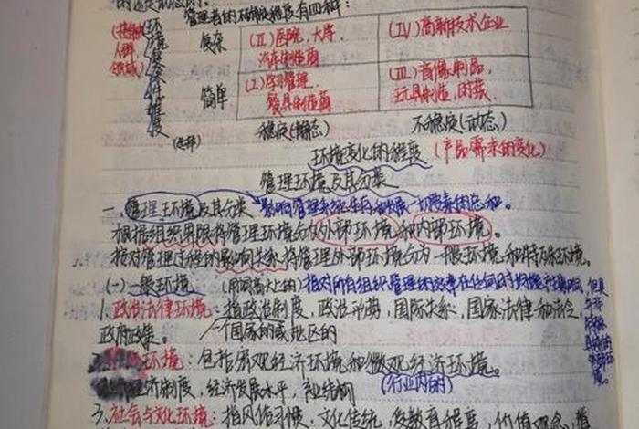 学造型总结；造型总结怎么写