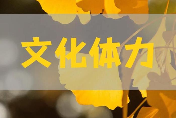 文化