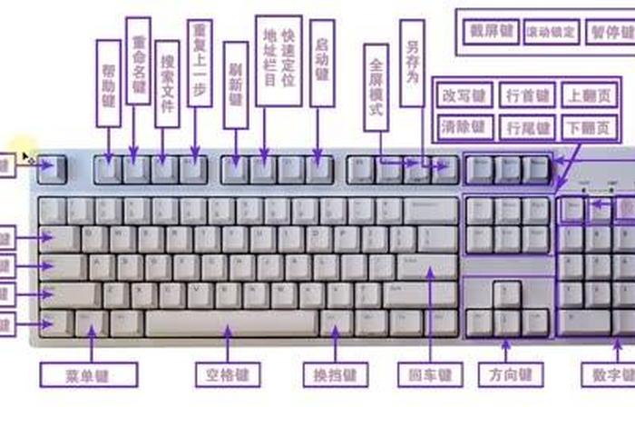 键盘功能学习；初学者认识键盘功能