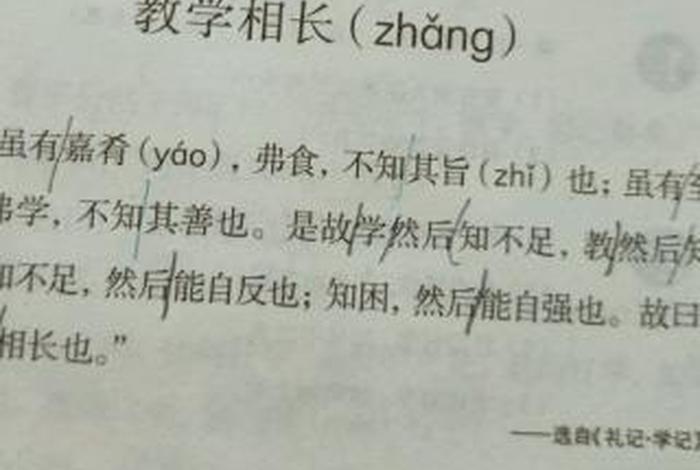 学学相长的读音 学用相长读音