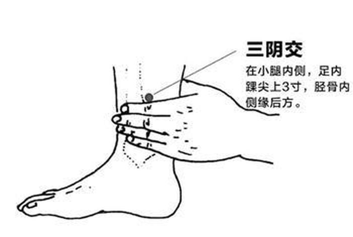 艾灸学习视频教程全集、艾灸教学免费视频教程