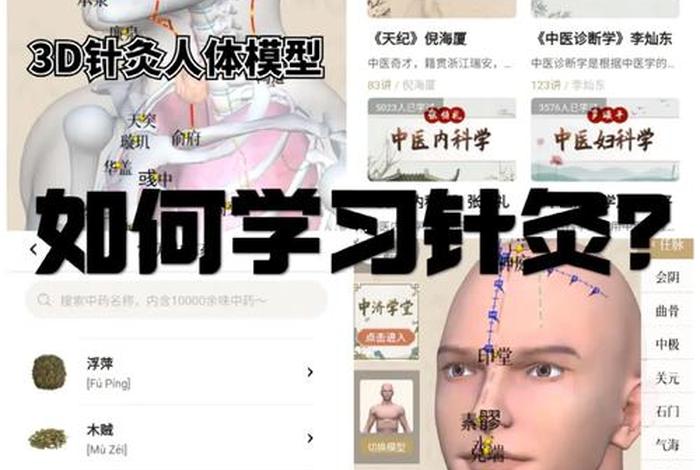 学习针灸怎么入门；针灸怎样学