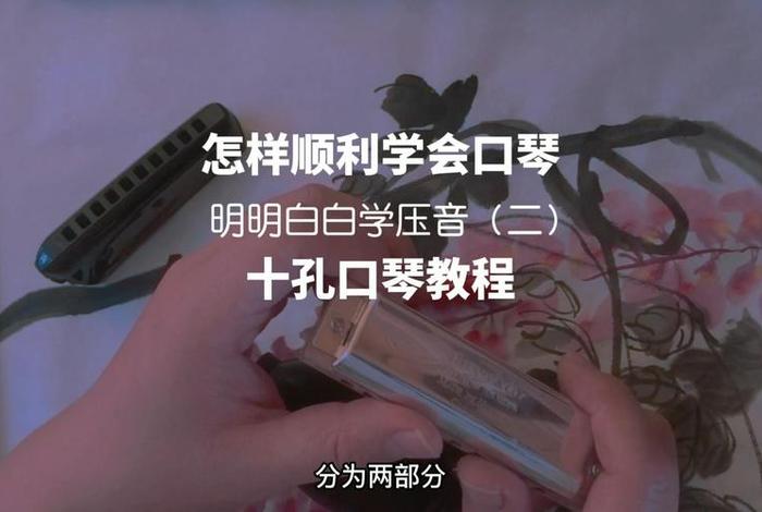 学习口琴基础教程 - 初学口琴教学视频